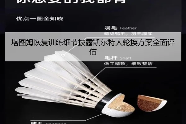 塔图姆恢复训练细节披露凯尔特人轮换方案全面评估
