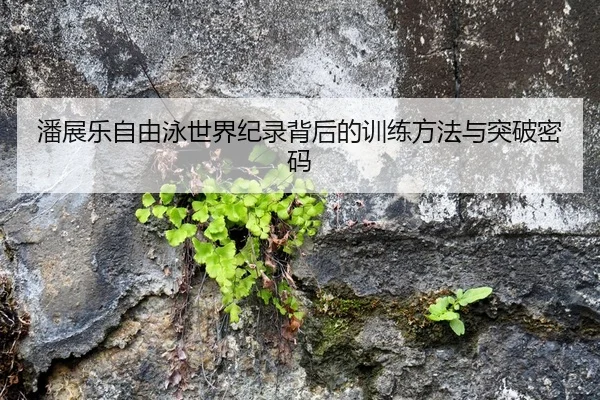 潘展乐自由泳世界纪录背后的训练方法与突破密码
